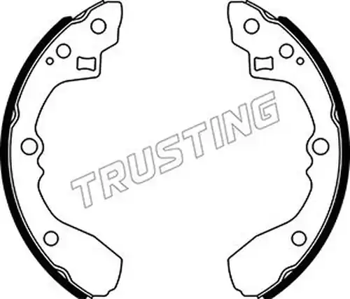 комплект спирачна челюст TRUSTING 049.170