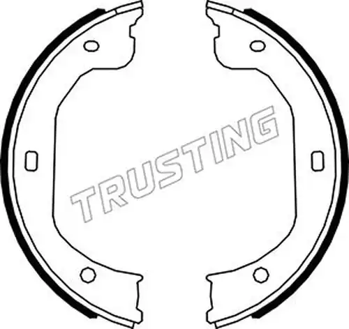 комплект спирачна челюст, ръчна спирачка TRUSTING 049.174