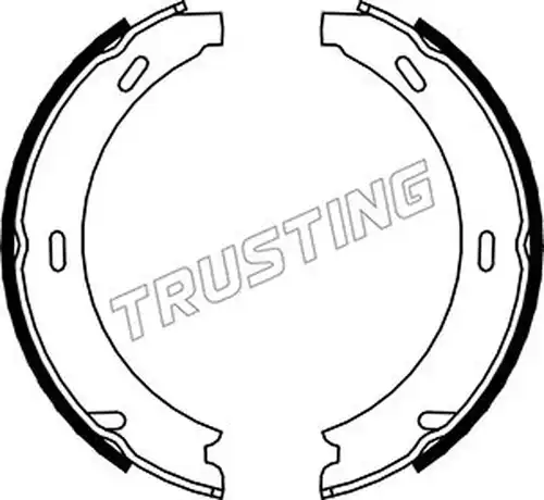 комплект спирачна челюст, ръчна спирачка TRUSTING 052.117