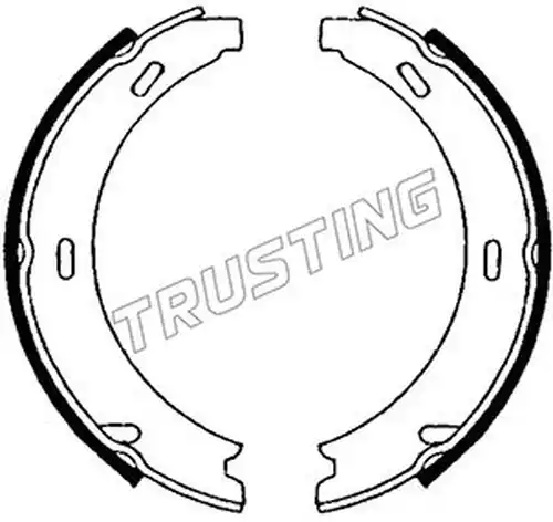 комплект спирачна челюст, ръчна спирачка TRUSTING 052.121