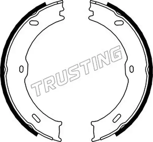 комплект спирачна челюст, ръчна спирачка TRUSTING 052.133