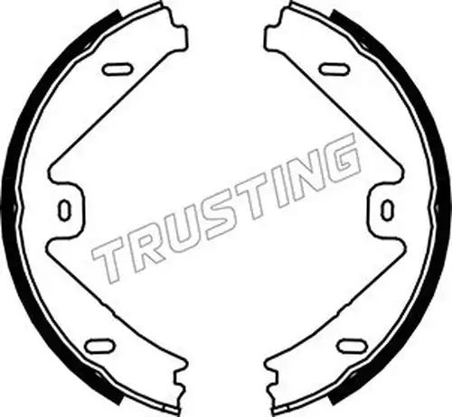 комплект спирачна челюст, ръчна спирачка TRUSTING 052.137