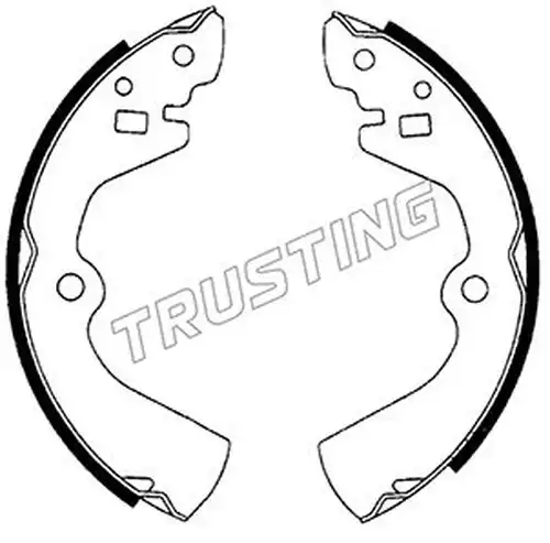 комплект спирачна челюст TRUSTING 067.172