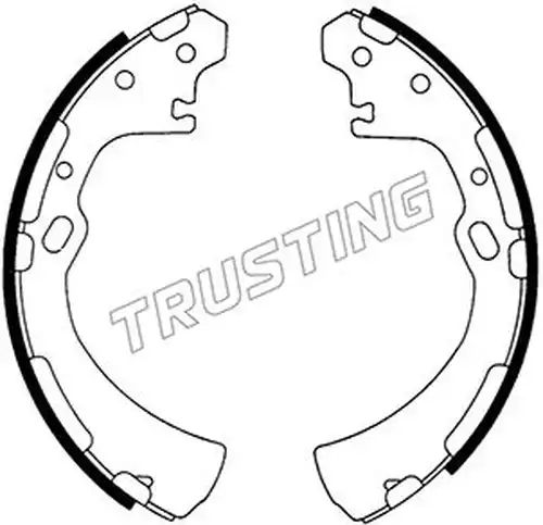 комплект спирачна челюст TRUSTING 067.175