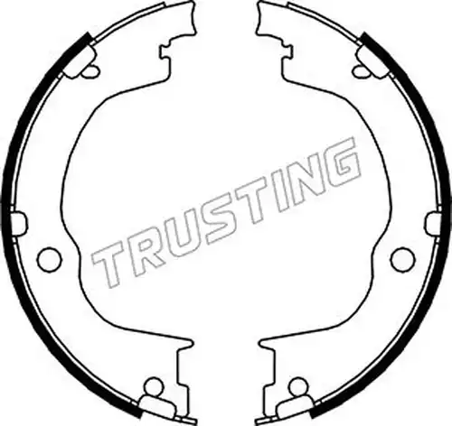 комплект спирачна челюст, ръчна спирачка TRUSTING 073.175