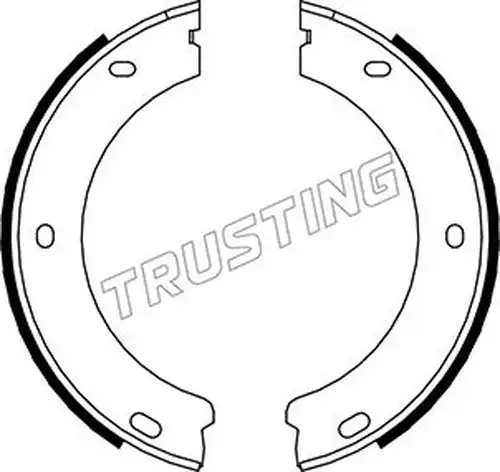 комплект спирачна челюст, ръчна спирачка TRUSTING 079.188