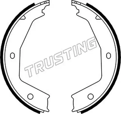 комплект спирачна челюст, ръчна спирачка TRUSTING 079.194