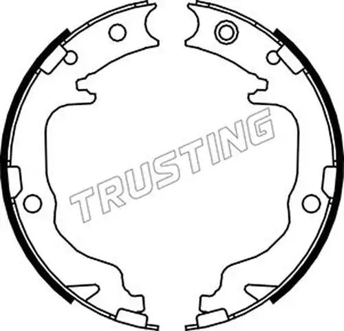 комплект спирачна челюст, ръчна спирачка TRUSTING 088.237