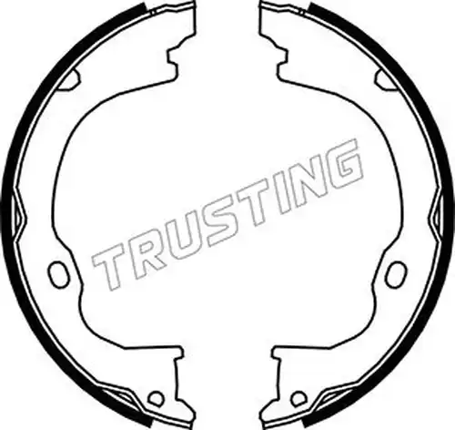 комплект спирачна челюст, ръчна спирачка TRUSTING 088.238