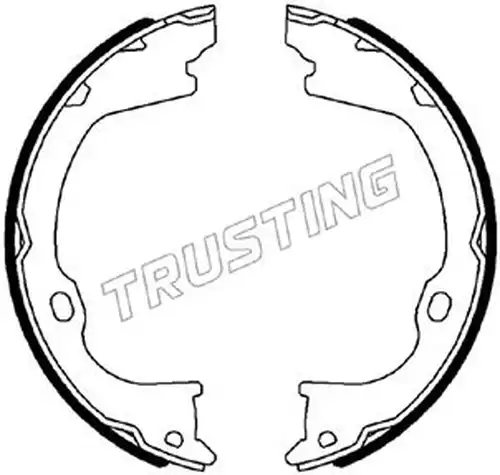 комплект спирачна челюст, ръчна спирачка TRUSTING 088.243