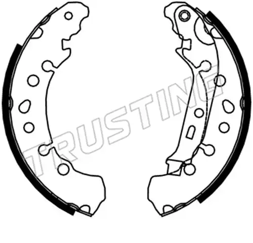 комплект спирачна челюст TRUSTING 253.750