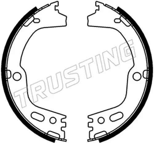 комплект спирачна челюст, ръчна спирачка TRUSTING 253.756