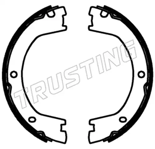 комплект спирачна челюст, ръчна спирачка TRUSTING 253.765