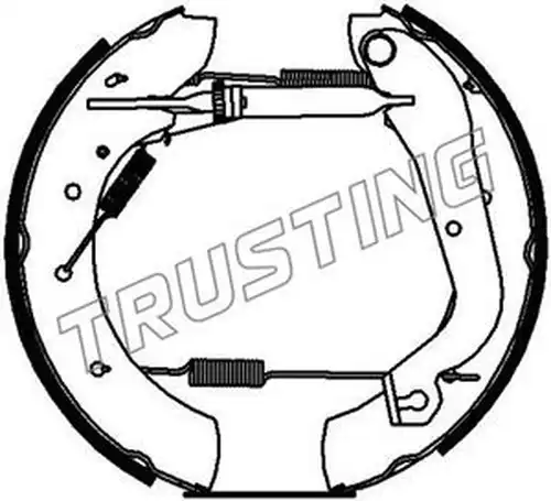 комплект спирачна челюст TRUSTING 6240