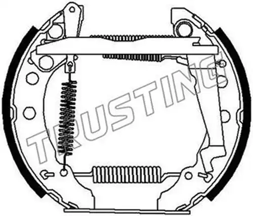 комплект спирачна челюст TRUSTING 6299