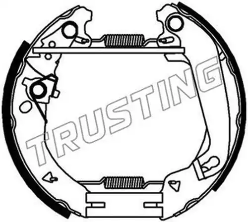 комплект спирачна челюст TRUSTING 6440