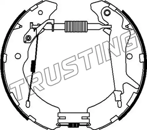 комплект спирачна челюст TRUSTING 6528