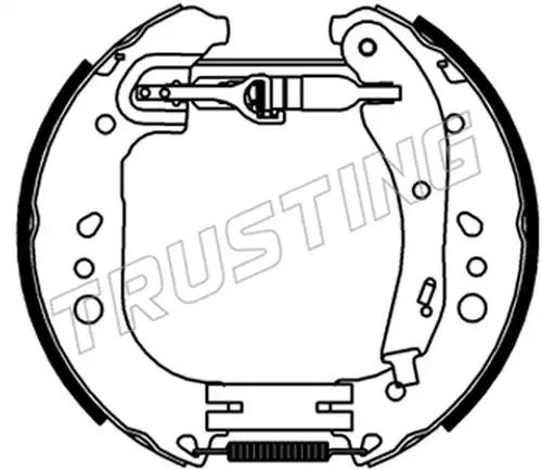 комплект спирачна челюст TRUSTING 6546